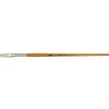 AMI A105 Borstpensel 06