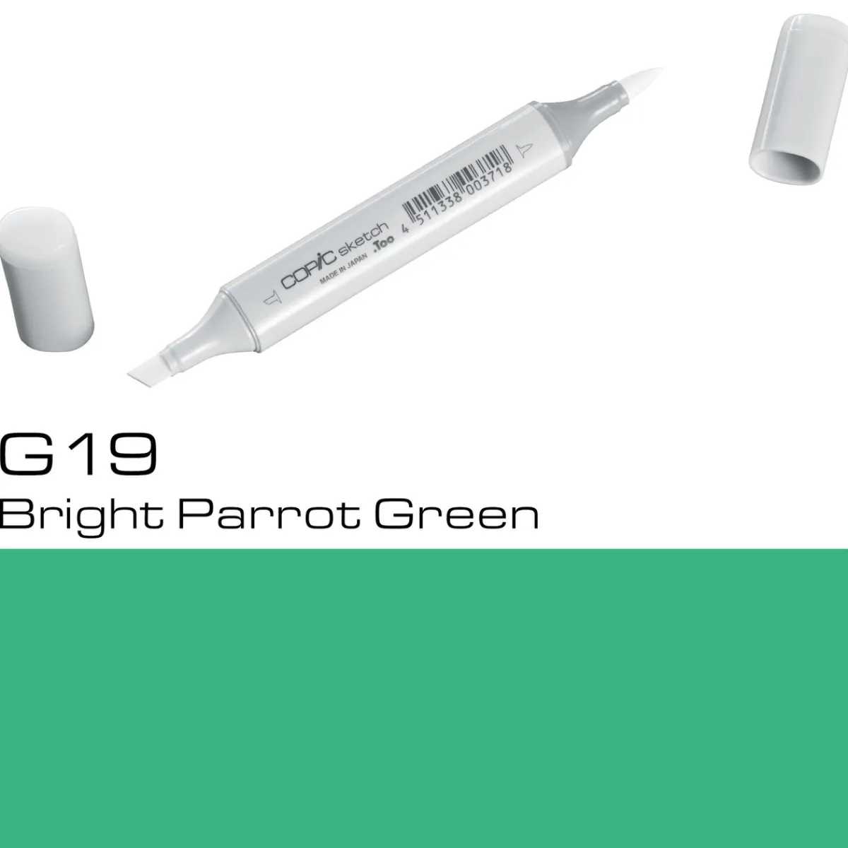 Copic Sketch G19 Br.Parr Green