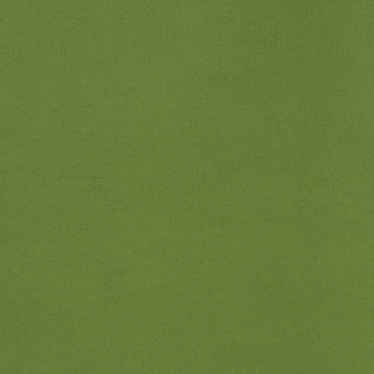 Panduro Hobby Designark enfärgat grön 5-pack – 305×305 mm, 230 g/m² | Designark