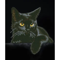 Diamond Dotz Midnight Cat – diamond painting, 27,9×35,5 cm, 4389 dotz | Diamond Painting