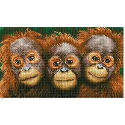 Diamond Dotz Oranging Around | Diamond Painting