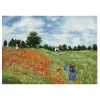 Diamond Dotz Poppy Fields – diamond painting, 57×41 cm, 28600 dotz | Diamond Painting