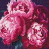 Panduro Hobby Diamond painting – 20×20 cm stort motiv med en vacker bukett rosa pioner