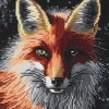 Panduro Hobby Diamond painting – 30×30 cm stort motiv med en listig rödräv