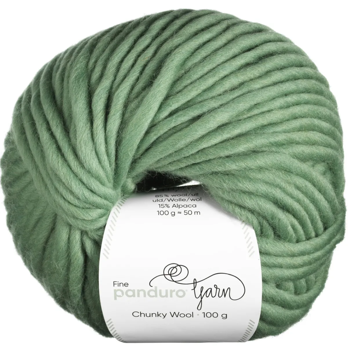 Panduro Yarn Garn Chunky Wool 100g ljusgrön | Ullgarn