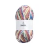 Järbo Garn Raggi 100g ljus pastell – Ferrris wheel 15257
