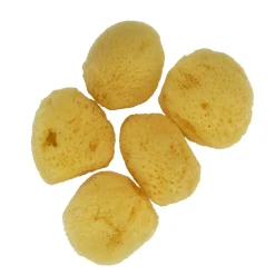 Kreatima natursvamp målarsvamp för akvareller och målning, 5-pack små | Rollers & Tillbehör
