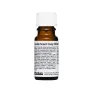 Panduro Hobby Ljusdoft jul/kanel 10 ml | Ljus Tillbehör