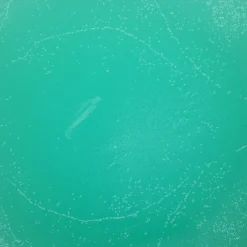 Oklassificerat Ljuspigment, färgpigment för att tillverka ljus – turkos, 4 gram | Ljus Tillbehör