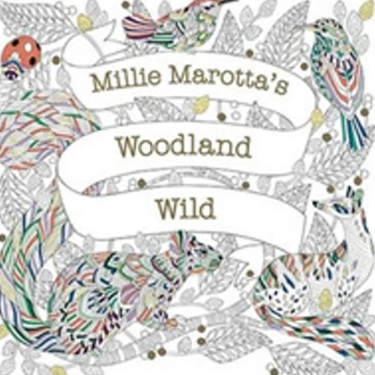 Oklassificerat Målarbok - Woodland Wild
