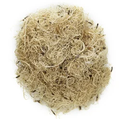 Panduro Hobby Naturmossa 20g
