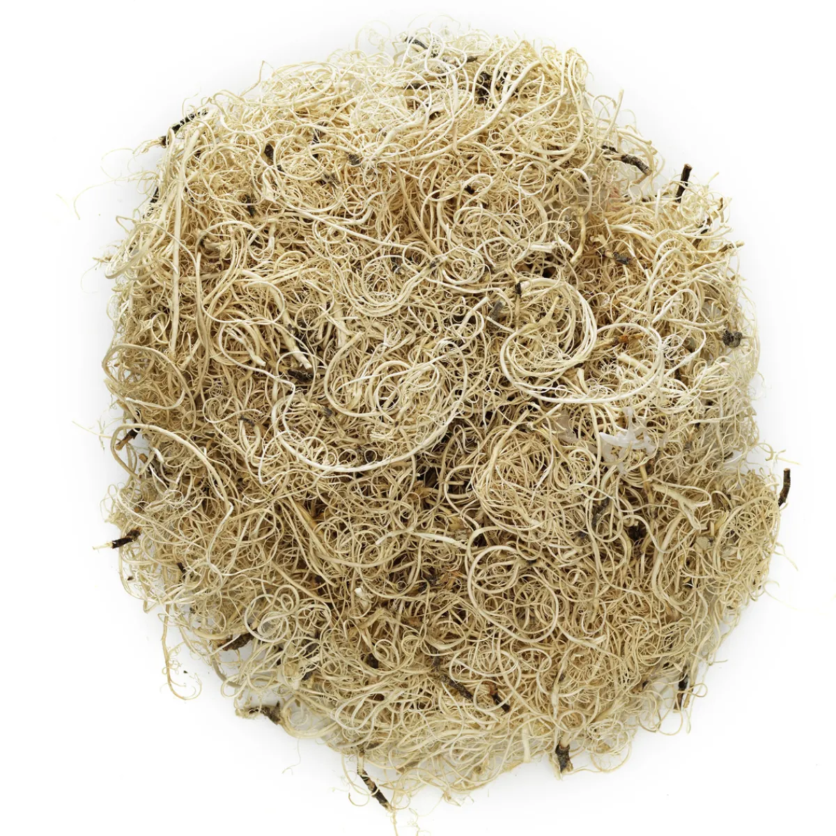Panduro Hobby Naturmossa 20g