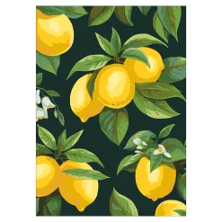 Panduro Hobby Paint by number / måla efter nummer – citroner, 25×35 cm + 18 färger & 3 penslar | Övriga Färger