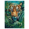 Panduro Hobby Paint by number / måla efter nummer – katter, 25×35 cm + 18 färger & 3 penslar