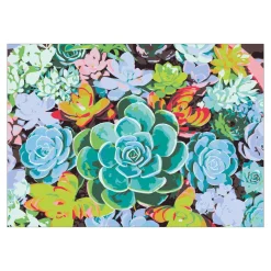 Panduro Hobby Paint by number / måla efter nummer – suckulent, 35×25 cm + 18 färger & 3 penslar