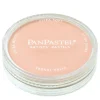 PanPastel torrpastell på burk, Red Iron Oxide Tint 380.8 | Kritor