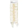Panduro Hobby Presentrosetter, rosetter av satin, cremefärg & ivory 15st | Presentdekor
