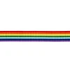 Panduro Hobby Rainbow ribbon 25mm/4m | Polyester