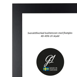G1 Galleriet Ram 4E svart plattlist 40x40cm | Ramar