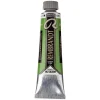 Rembrandt oljefärg 40 ml Cinnabar Green Medium - 625 | Oljefärger