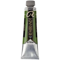 Rembrandt oljefärg 40 ml Sap Green - 623
