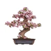 Robotime Rolife DIY Wooden 3D-träpussel Sakura bonsaiträd TG415 161×111×170 mm | Grundsatser