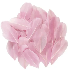 Panduro Hobby Rosa små fjädrar från gås, längd 6–7 cm, förpackningen innehåller 3 gram