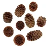Panduro Hobby Salignum-kottar 40-pack | Naturmaterial