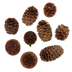 Panduro Hobby Salignum-kottar 40-pack | Naturmaterial