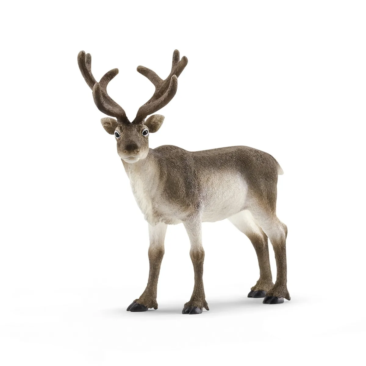 Barn Schleich ren