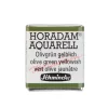 Schmincke Horadam akvarellfärg 5 ml – Sap green 530