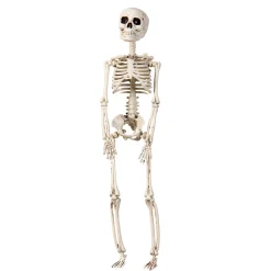 Panduro Hobby Skelett för halloween – 29 cm högt | Övrigt