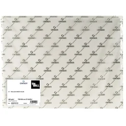 Canson The wall marker ppr 70x100cm