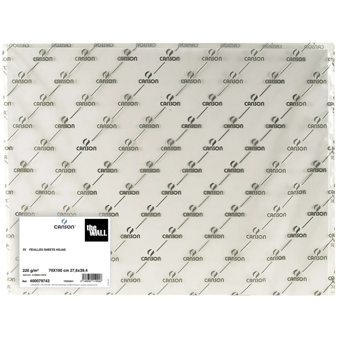 Canson The wall marker ppr 70x100cm