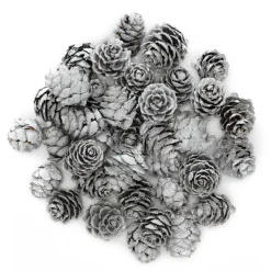 Panduro Hobby Vita kottar med glitter, 36 s