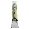 Rembrandt Water col 20ml Chrom ox green