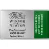 Winsor & Newton Professional akvarellfärg helkopp Hooker´s Green 311 | Akvarell- & Vattenfärger