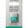 Winsor & Newton Professional akvarellfärg halvkopp Davy´S Grey 217