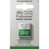 Winsor & Newton Professional akvarellfärg halvkopp Oxide Of Chromium 459 | Akvarell- & Vattenfärger