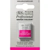 Winsor & Newton Professional akvarellfärg halvkopp Perylene Green 460