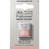 Winsor & Newton Professional akvarellfärg halvkopp Terre Verte (yellow shade) 638